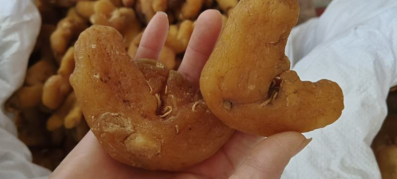 黄精，中药材鸡头黄精