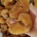 黄精，中药材鸡头黄精