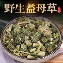 正宗野生益母草新货益母草茶中药泡茶泡脚调理姨妈中药草包邮