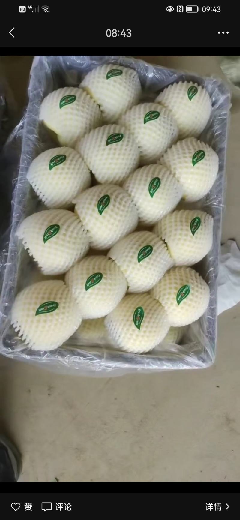 黄元帅！红富士