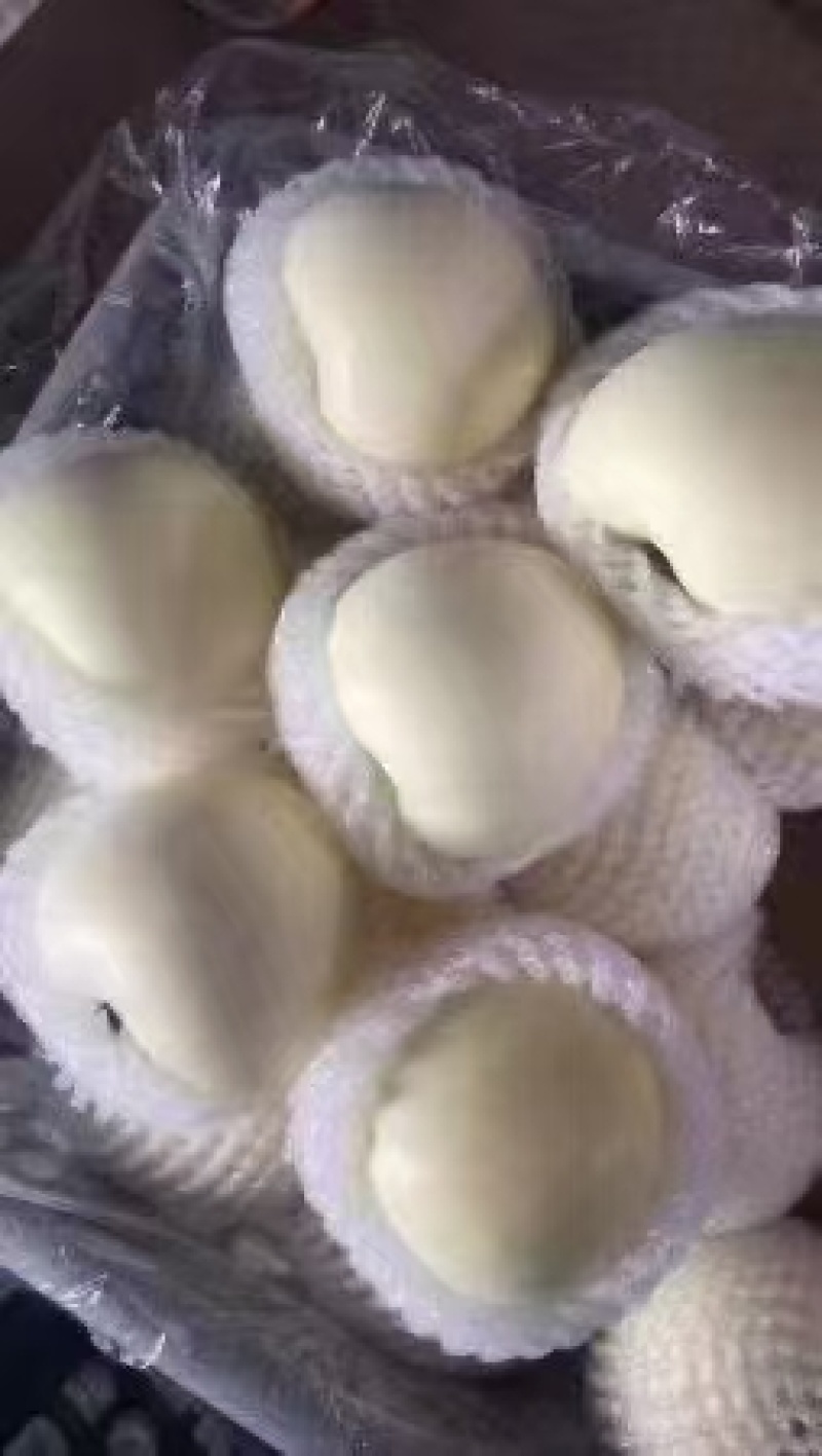 黄元帅！红富士