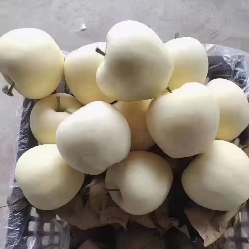 黄元帅！红富士