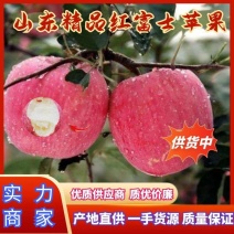 山东精品红富士苹果大量供货中产地直供量大从优欢迎致电