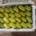 精品杨桃基地直供一手货源品质保证诚信经营欢迎采购