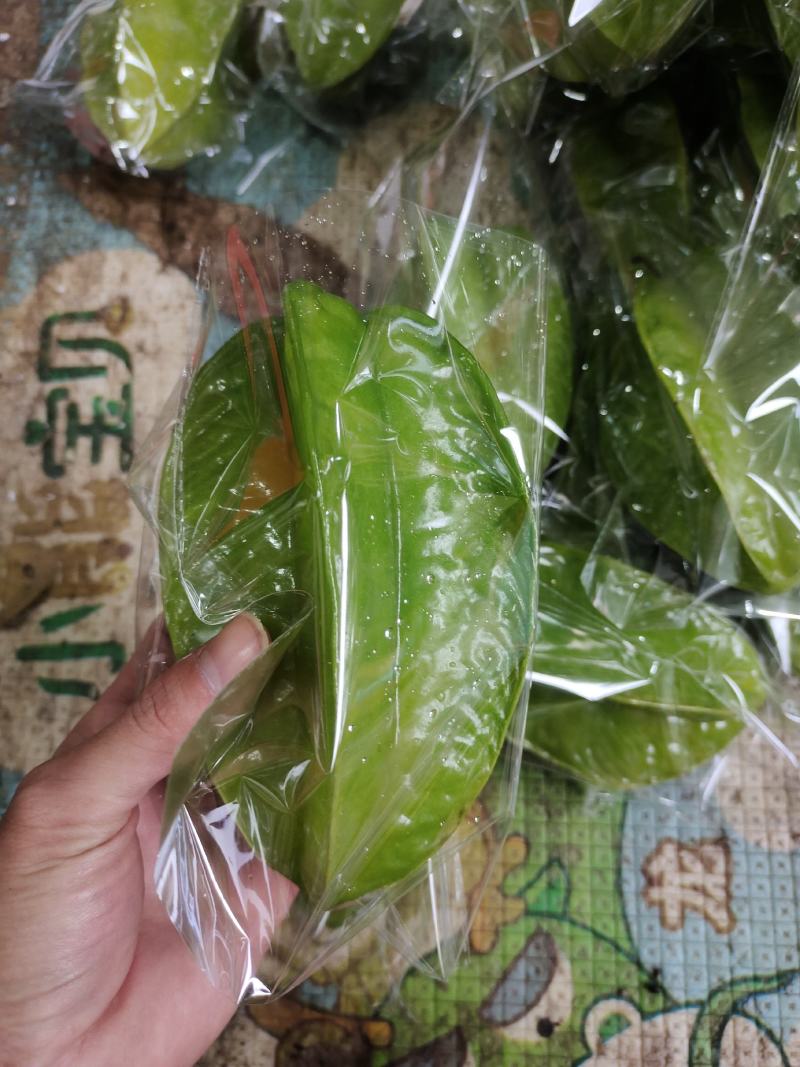 精品杨桃基地直供一手货源品质保证诚信经营欢迎采购