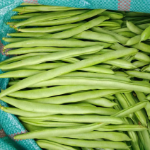 无筋豆，小金豆大量上市