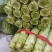 新野县绿禾蔬菜供应红尖叶窝笋已大量上市中