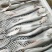 沙鱼、海鱼、广西北部湾产品、鲜度好肉质鲜甜、适合各种用料