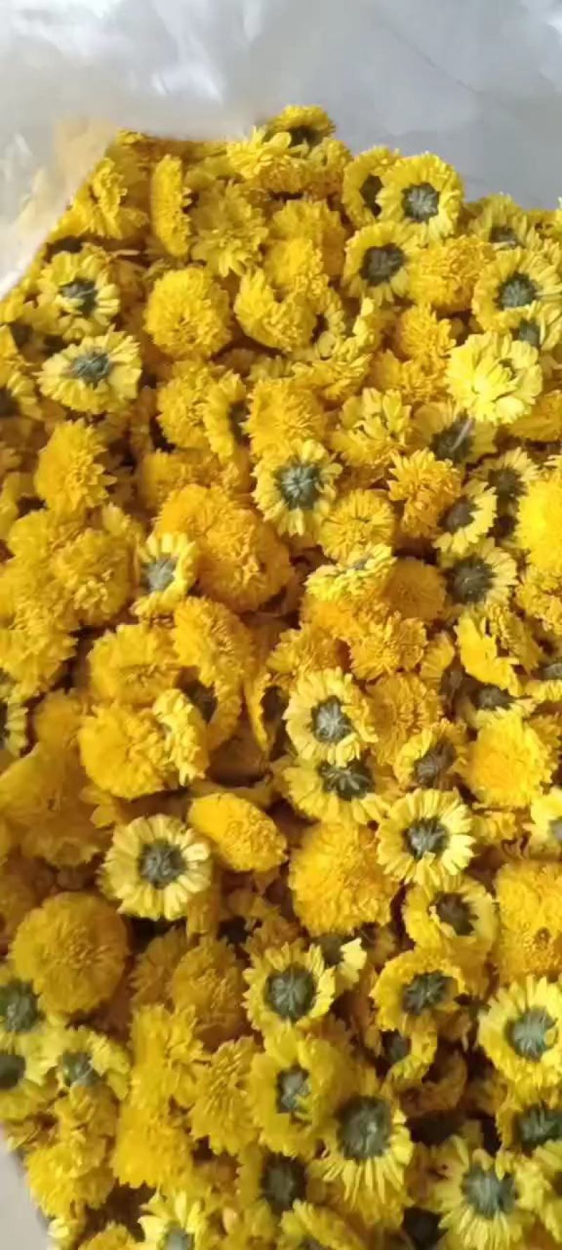 陶菊，各种规格都有，菊花茶，陶菊，婺源皇菊