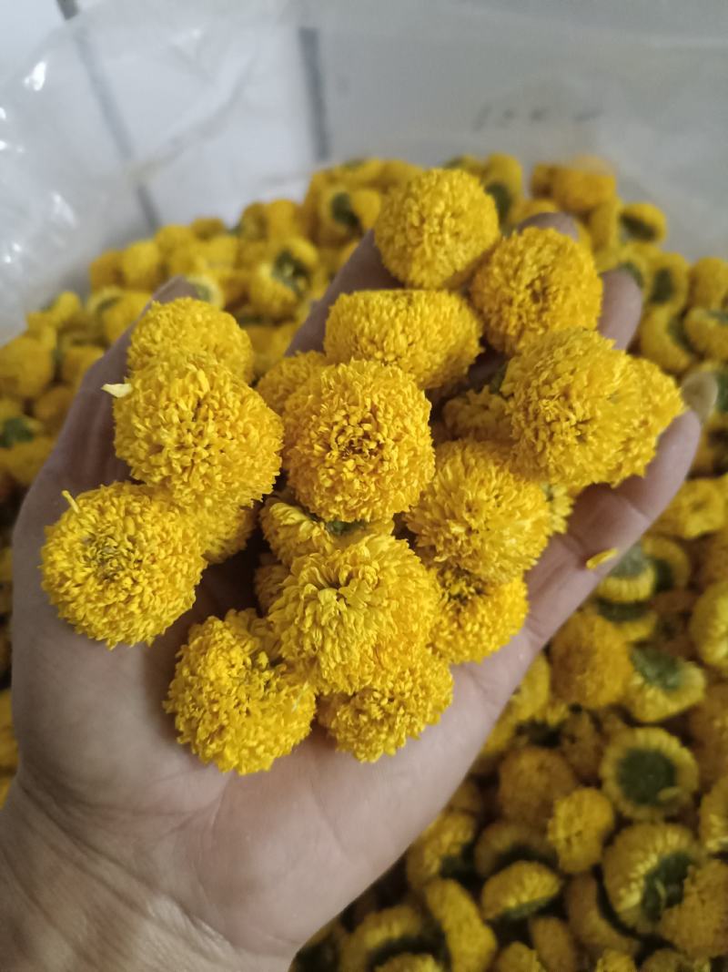 陶菊，各种规格都有，菊花茶，陶菊，婺源皇菊