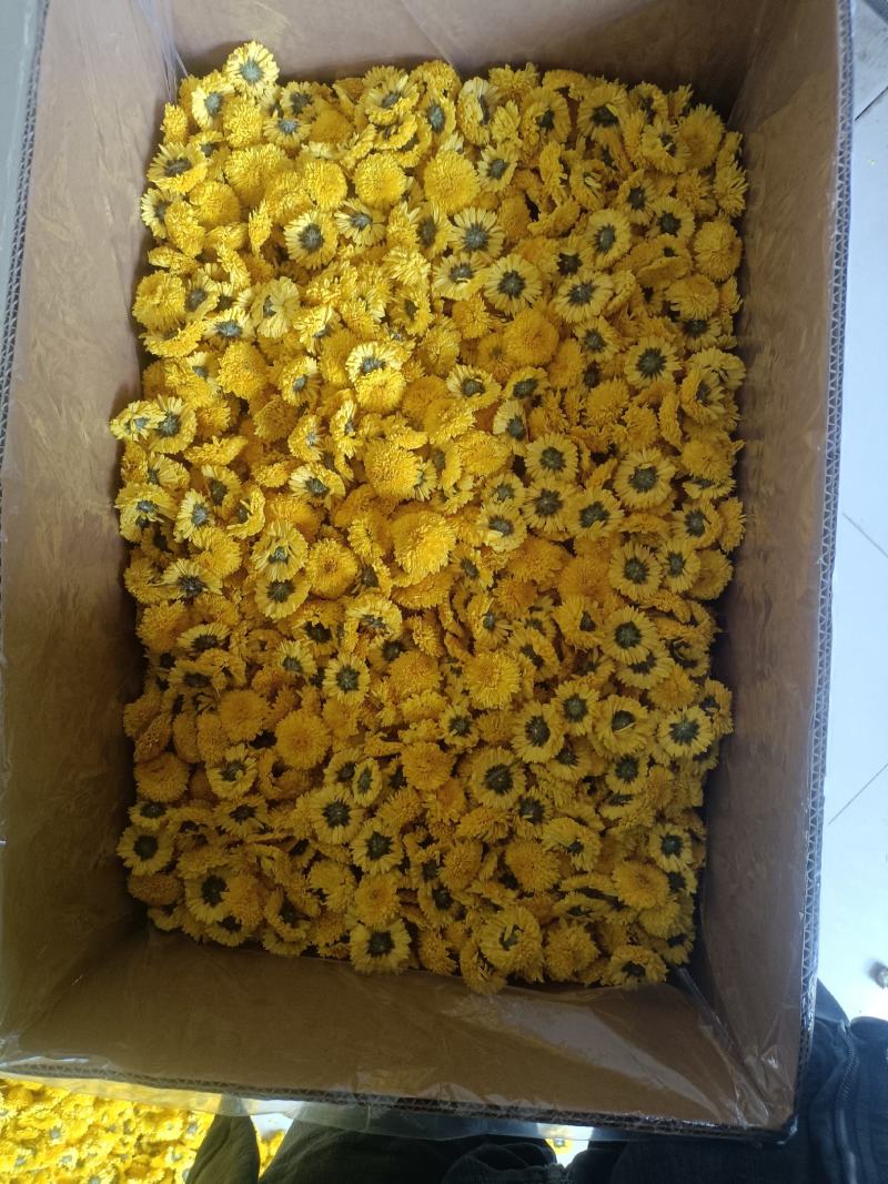 陶菊，各种规格都有，菊花茶，陶菊，婺源皇菊