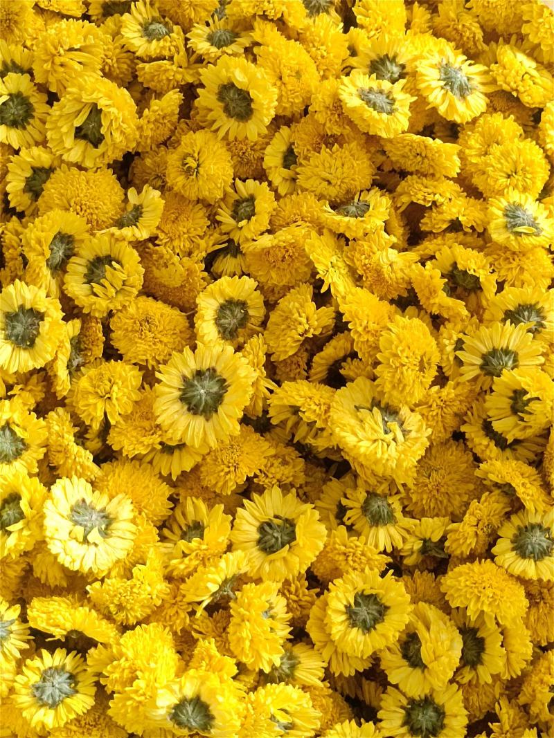 陶菊，各种规格都有，菊花茶，陶菊，婺源皇菊