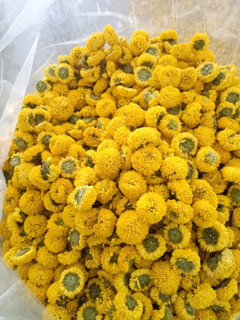 球菊，各种规格都有，菊花茶，对接各大釆购商，，，，，，，