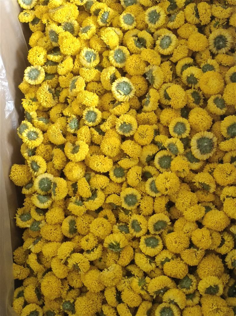 球菊，各种规格都有，菊花茶，对接各大釆购商，，，，，，，