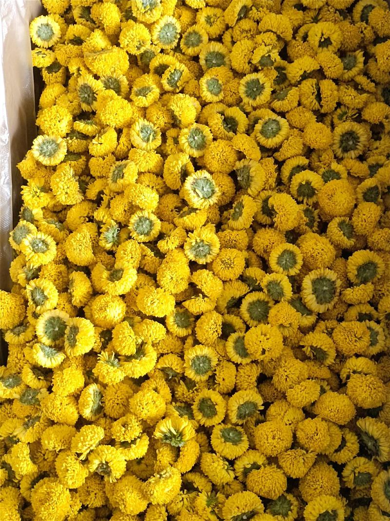 球菊，各种规格都有，菊花茶，对接各大釆购商，，，，，，，