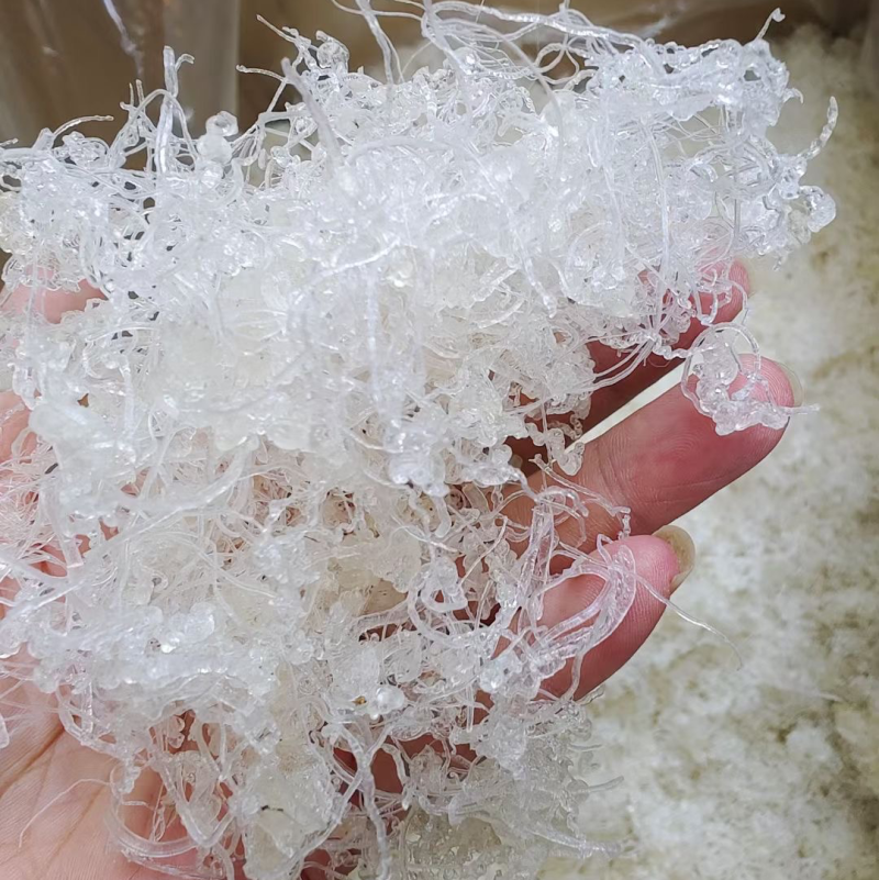 龙须雪燕