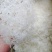 龙须雪燕