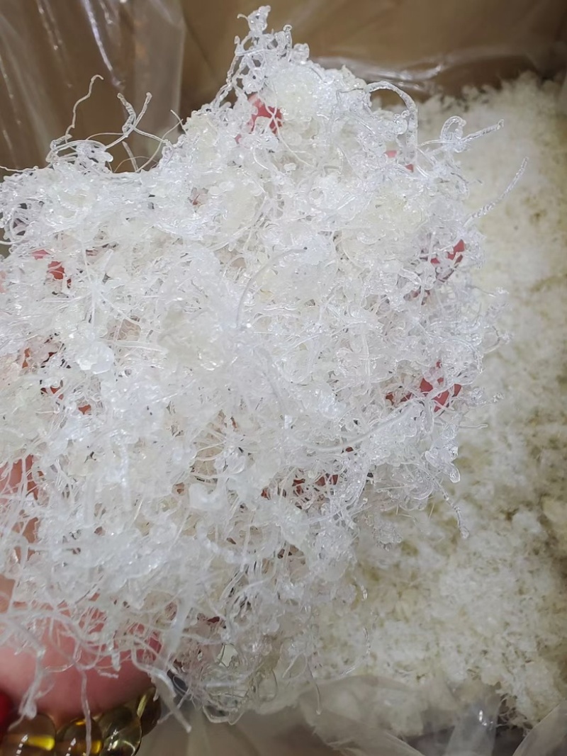 龙须雪燕