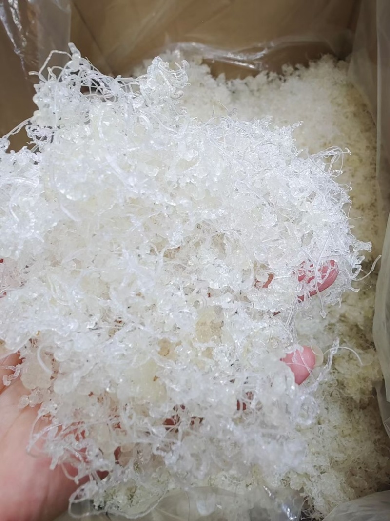 龙须雪燕