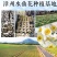 漳州水仙花种球春节年宵花冬季开花凌波仙子花尾