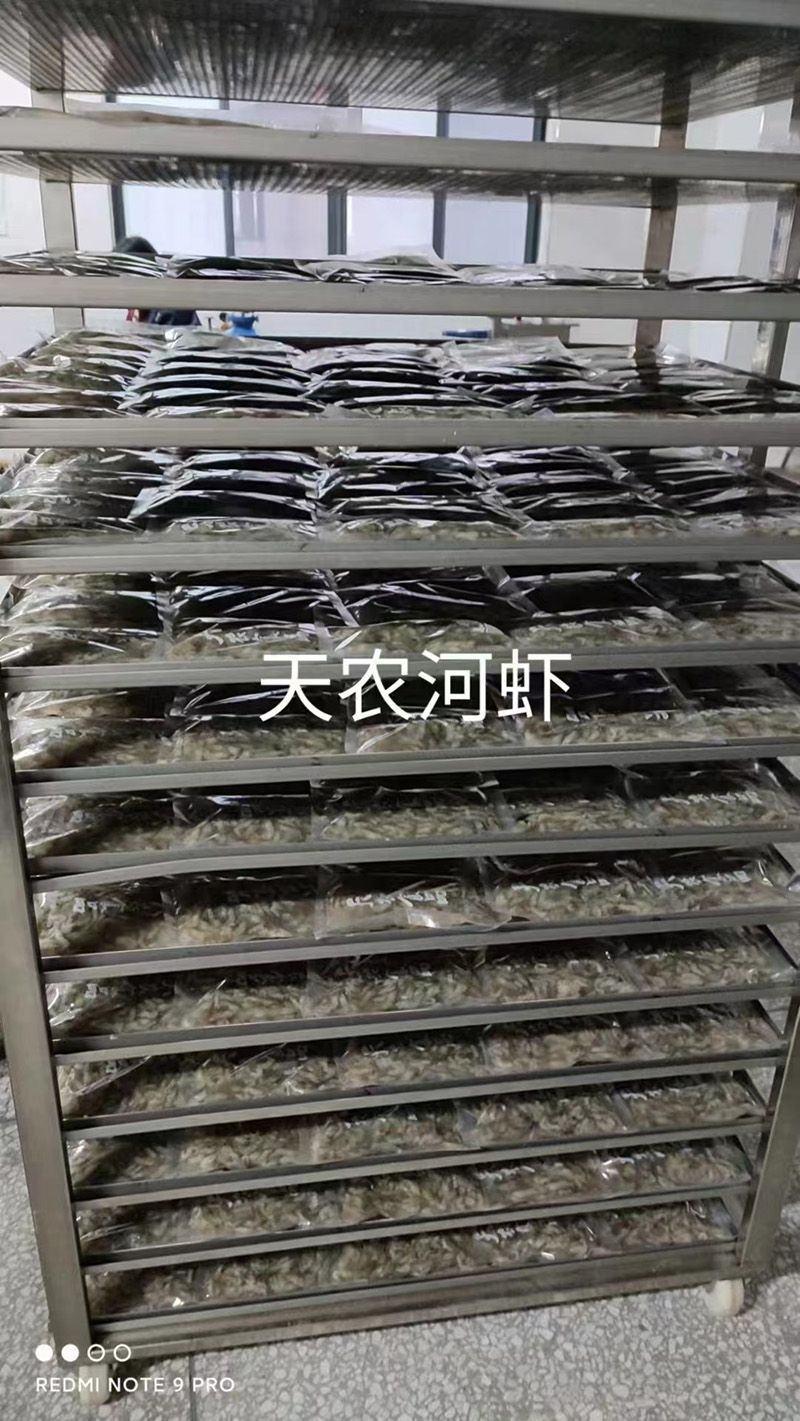 原产地厂价批发活冻河虾青虾280克货源充足可定做
