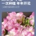 香雪兰种球四季开花好养活大种球进口小苍兰重瓣花卉阳台鲜花