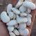 白芸豆500g云南白云豆大白豆云豆农家自产豆子五谷