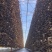东北黑木耳大棚头茬片形好厚度好性价比比较高
