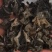 黑龙江黑木耳头茬品质黑厚型好高泡发原干（陈货）数量有限