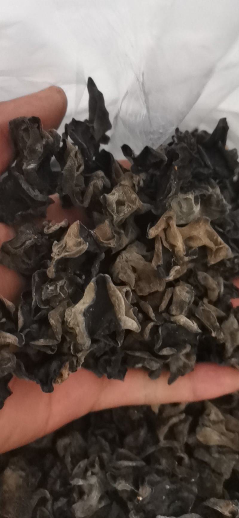 黑龙江黑木耳头茬品质黑厚型好高泡发原干（陈货）数量有限