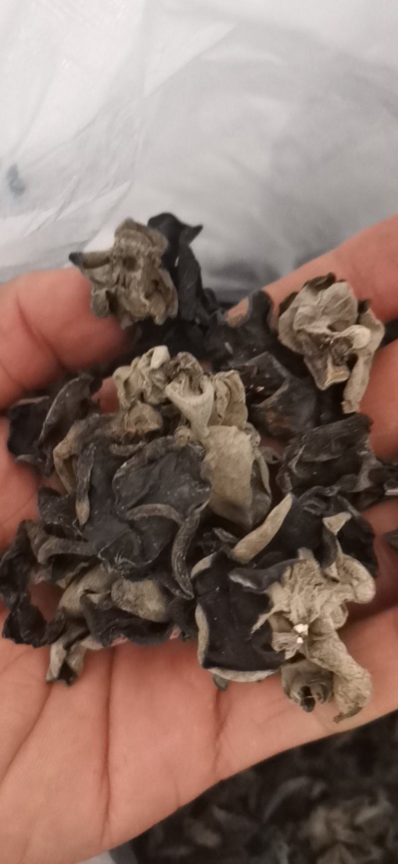 黑龙江黑木耳头茬品质黑厚型好高泡发原干（陈货）数量有限