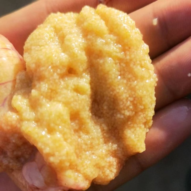 大口黑鲈鱼棕片，每张5000—7000蛋量，一手货源电联
