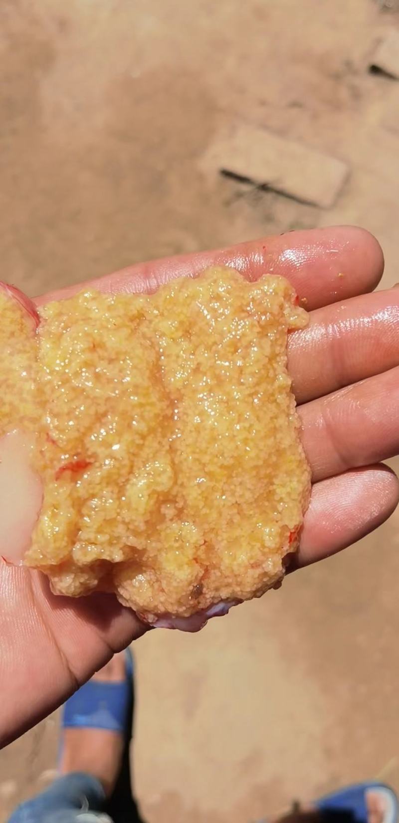 大口黑鲈鱼棕片，每张5000—7000蛋量，一手货源电联
