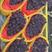 辽宁锦州葡萄茉莉香萄葡色泽黑紫，颗粒饱满，果粒均匀
