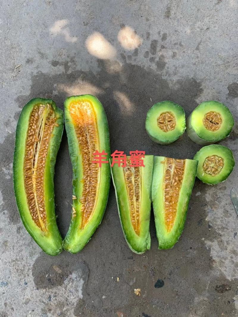 禧来农羊角蜜甜瓜种子羊角酥种子羊角脆种子种植基地大面积种