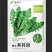 天然野生荠荠菜种子农户农家庭院阳台均可种植蔬菜种子
