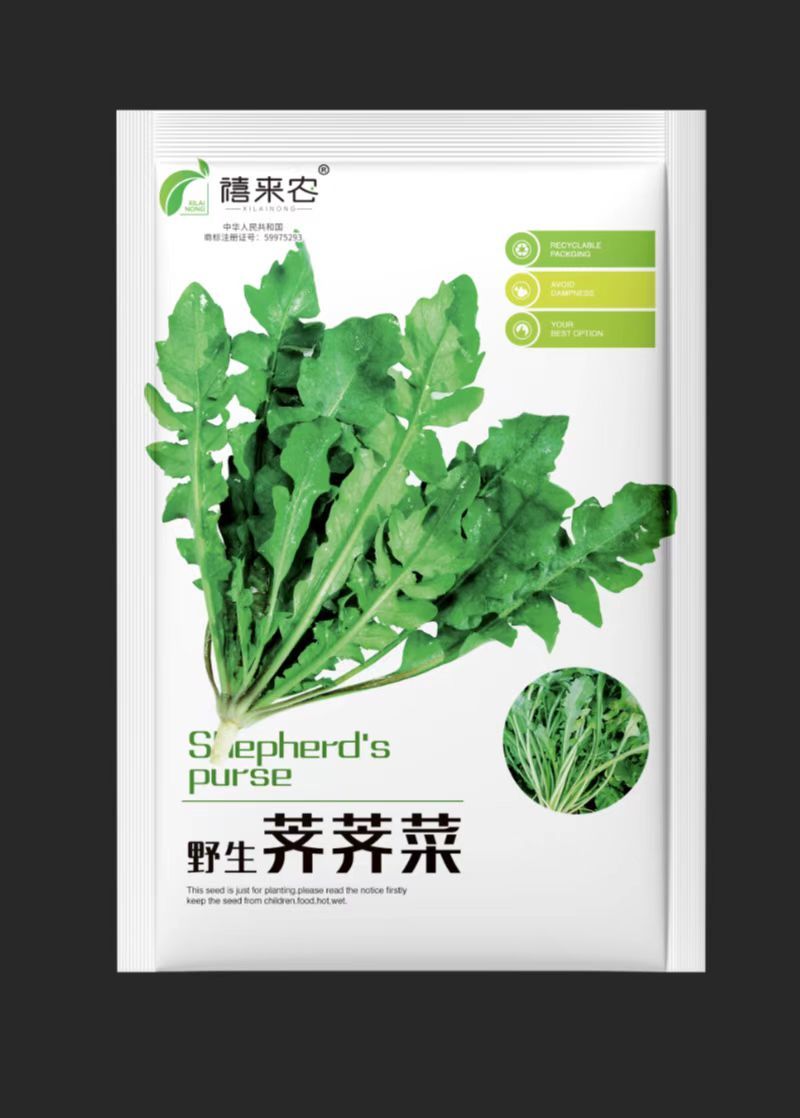 天然野生荠荠菜种子农户农家庭院阳台均可种植蔬菜种子
