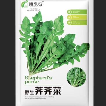 天然野生荠荠菜种子农户农家庭院阳台均可种植蔬菜种子