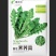 天然野生荠荠菜种子农户农家庭院阳台均可种植蔬菜种子