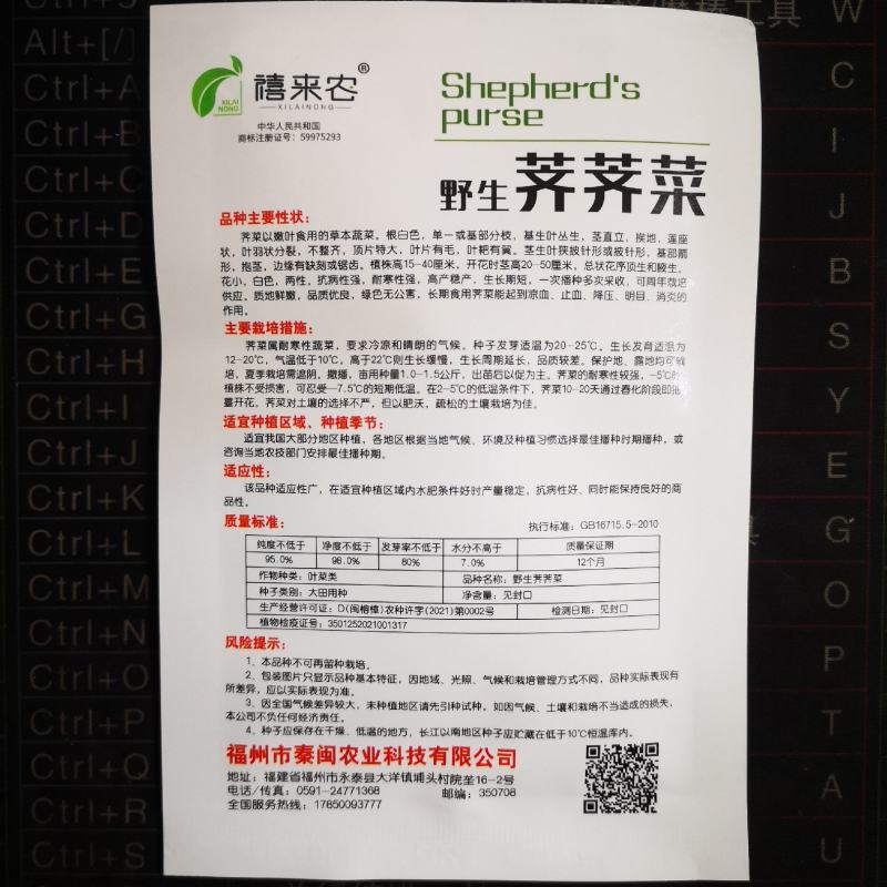 天然野生荠荠菜种子农户农家庭院阳台均可种植蔬菜种子