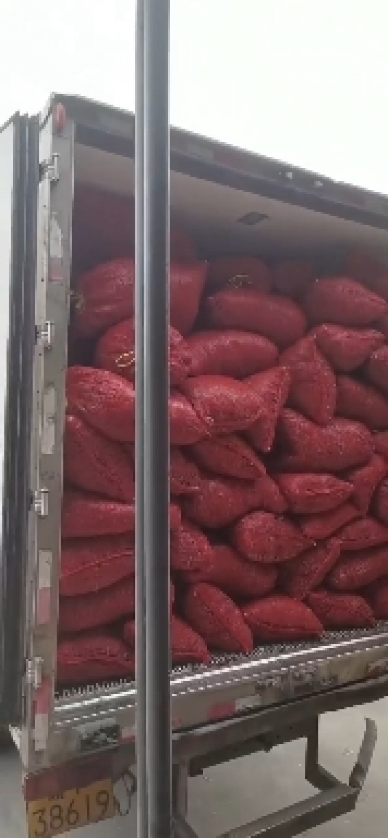 丰县北京红冷冻辣椒