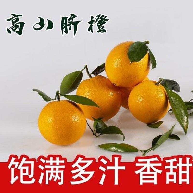 四川金堂脐橙橙子一件代发多仓发货