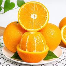 四川金堂脐橙橙子一件多仓发货
