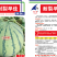 高纯早佳84~24F1西瓜种子果大瓤红早熟品质好产量高商