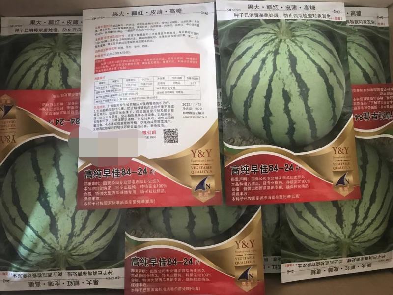 高纯早佳84~24F1西瓜种子果大瓤红早熟品质好产量高商