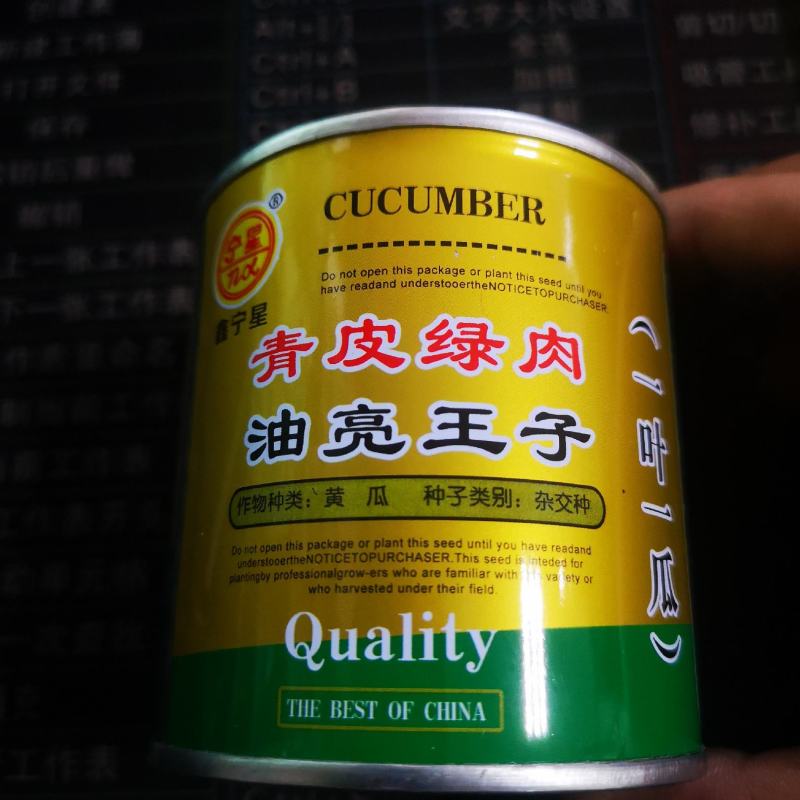 油亮瓜王黄瓜种子一叶一瓜绿皮绿肉密刺黄瓜种子农家蔬菜种子