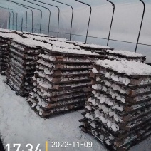 自产无污染，纯红薯颗粒粉，常年供应，欢迎采购