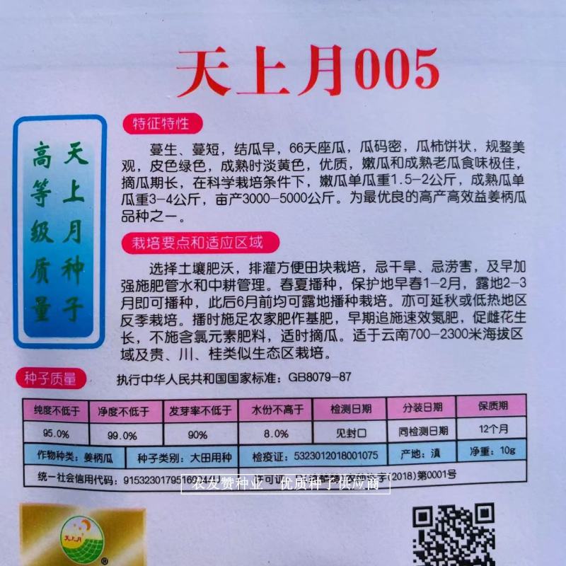云南特色南瓜品种天上月005姜柄瓜种子高产优良姜饼瓜种