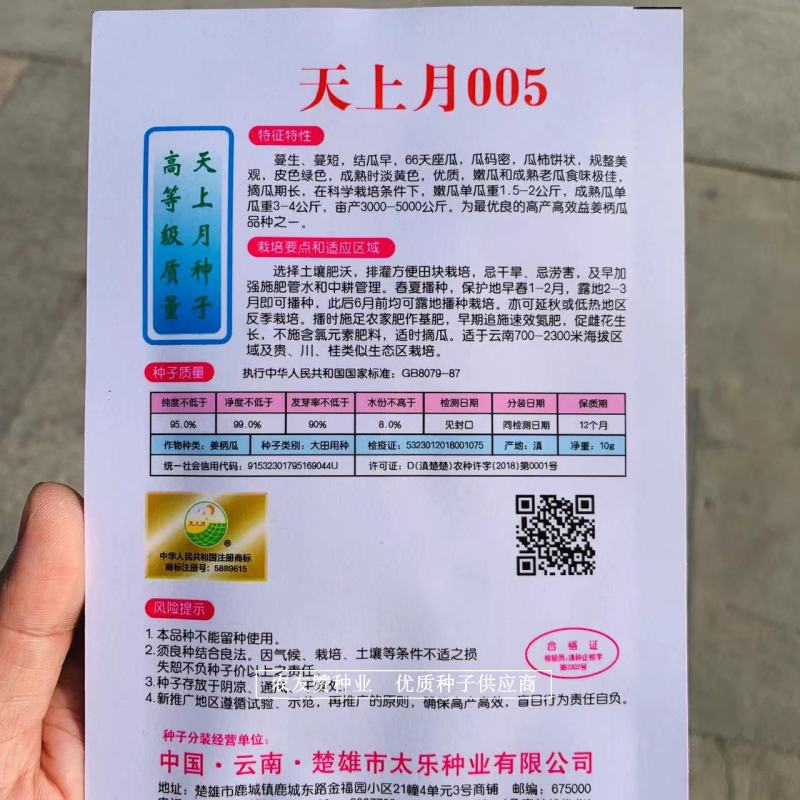 云南特色南瓜品种天上月005姜柄瓜种子高产优良姜饼瓜种
