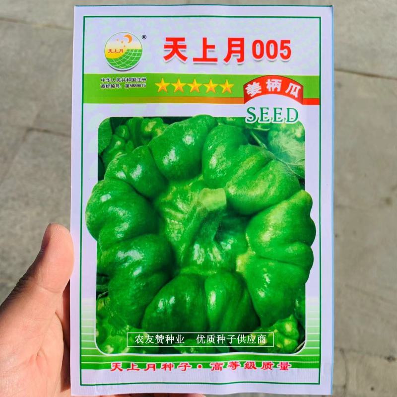 云南特色南瓜品种天上月005姜柄瓜种子高产优良姜饼瓜种